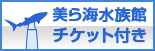 美ら海水族館チケット付き