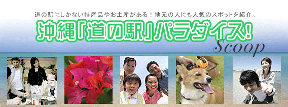 沖縄「道の駅」パラダイス	