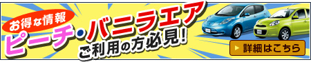 LCCターミナル内カウンターオープンキャンペーン