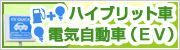 ハイブリット車・電気自動車(EV)