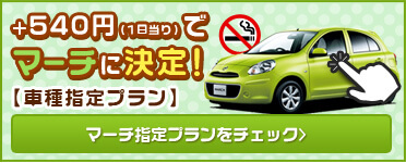 マーチ車種指定