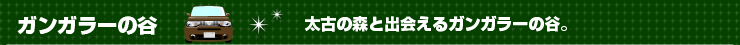 太鼓の森と出会えるガンガラーの谷