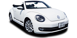 VOLKSWAGEN THE BEETLE
