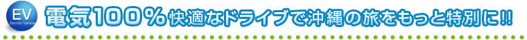 電気100パーセント快適なドライブで沖縄の旅をもっと特別に!!