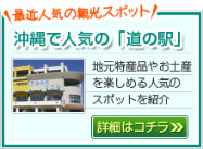 沖縄道の駅マップ