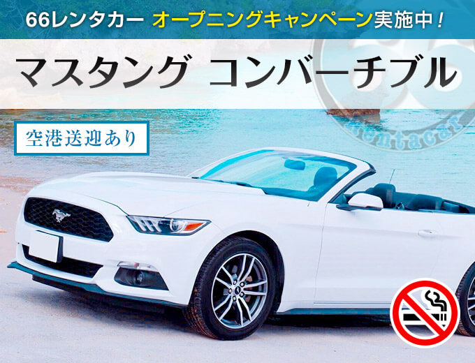 NEWマスタング コンバーチブル