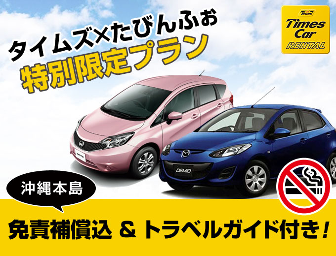 沖縄本島 タイムズのスタンダードプラン2019/10~2020/09(C1)