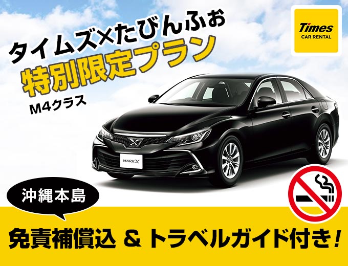 沖縄本島 タイムズのスタンダードプラン2019/10~2020/09(M4)