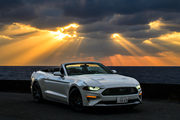 フォード New Mustang Cabriolet　2.3L　直4エコブースト搭載車！　2020年後期モデル！！免責補償･ノンオペレーションチャージ補償料込！ リムジン那覇空港個別無料送迎(最大7人まで)！　　　　　　　　　　　　　※諸事情等により、リムジン以外での送迎になる場合もあり