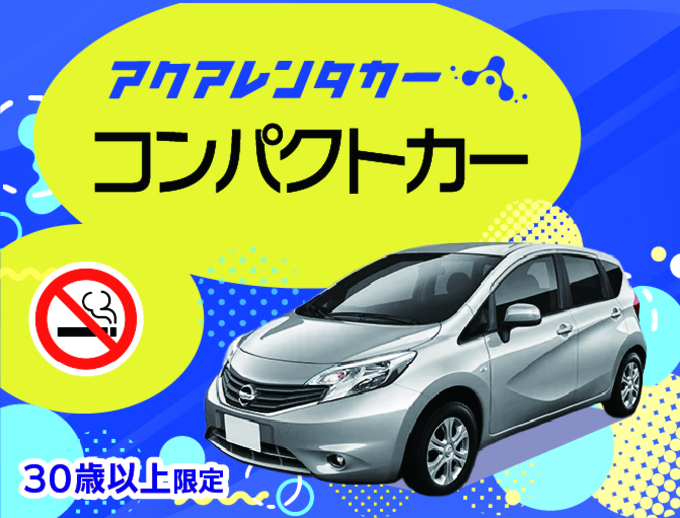 【30歳以上限定】中古車レンタカーだから出来る特別価格♪ゆったり安心ドライブプラン（禁煙・ナビ有・ETC車載器有）