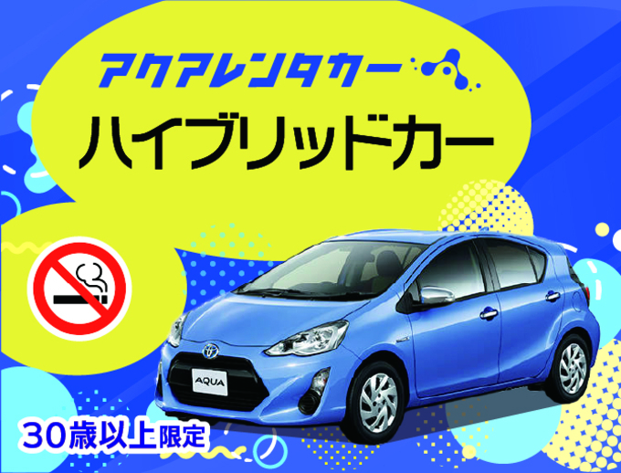 【30歳以上限定】中古車レンタカーだから出来る特別価格♪ゆったり安心ドライブプラン（禁煙・ナビ有・ETC車載器有）