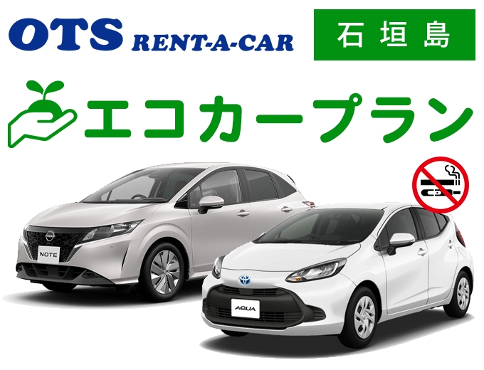 【新石垣空港前店】エコカープランPI0012