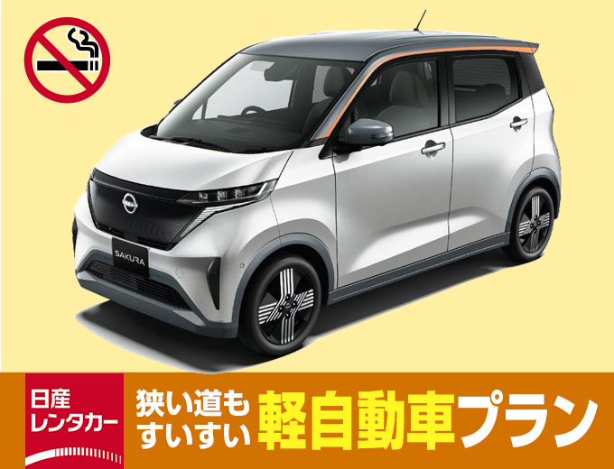 【沖縄本島】軽自動車フルサポートプラン【P0】