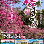 一番早い春を見に行こう【第45回　本部八重岳桜まつり】