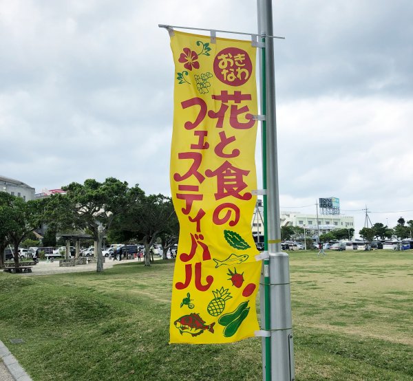 IMG-0508