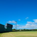 2019沖縄プロ野球キャンプイン情報総まとめ！中部～北部エリア