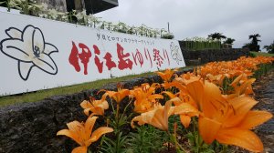 20170507_095435