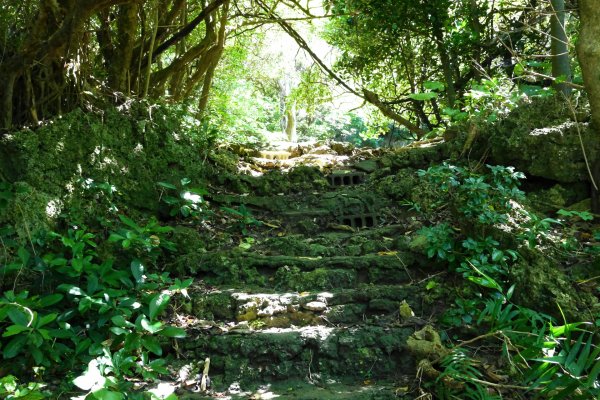 藪地遺跡までの階段512877_m