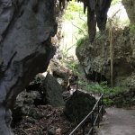 鍾乳洞や沖縄の自然を楽しめる！沖縄県南城市の“ガンガラーの谷”