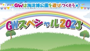 GWkaiyou
