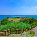 夏の沖縄でレンタカーを利用する際の注意点