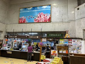 IMG_1019