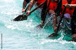 AdobeStock_72451312_Preview (1)