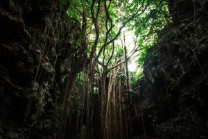 okinawaDSC_2024_TP_V
