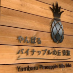 【道の駅情報】え！こんなところに？！道の駅やんばるパイナップルの丘で自然感じてきた