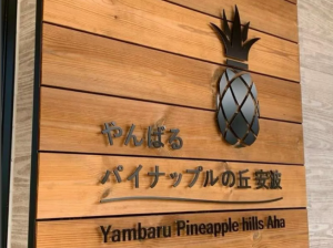 【みちの駅】やんばるパイナップルの丘 安波