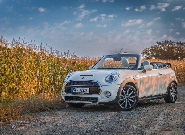 mini-1729098_1280