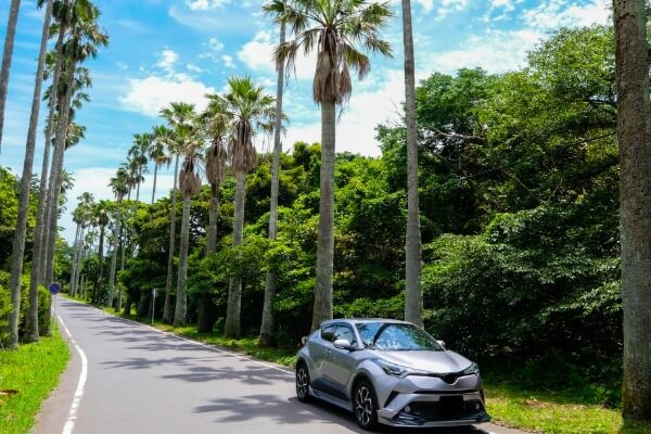 SUVドライブ