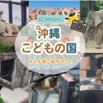 レンタカーでGO！沖縄こどもの国への行き方・駐車場情報＆「大人も楽しめる」徹底解説