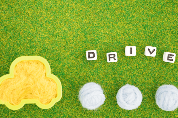 ドライブ (5)