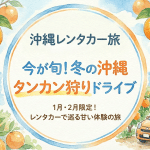 トランクいっぱいに旬を詰め込もう！レンタカーで行く冬の沖縄『タンカン狩り』ドライブ