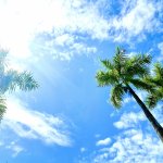 石垣島でハワイの風を体感！？2022年石垣島アロハフェア開催中