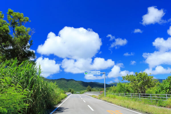 石垣島でのレンタカー走行時に注意したいこと