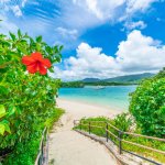 【2025年夏】石垣島レンタカー最新価格相場を比較！おすすめ車両タイプもご紹介