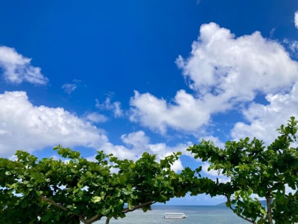 石垣島はレンタカーが味方！雨の日でも楽しめた体験談をご紹介