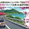 今しか見られない！レンタカーで巡る石垣島『お花見ドライブスポットおすすめ３選』