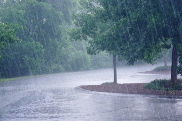 雨 (3)