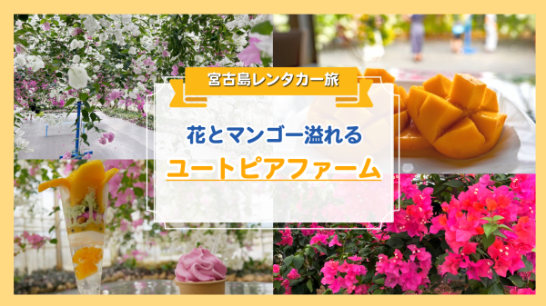 宮古島　休憩スポット