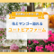 宮古島レンタカーで行きたい！花が咲き誇るユートピアファームってなに？！